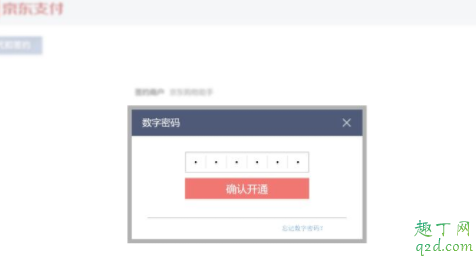 京東買口罩代下單怎么用 京東口罩自動下單教程(手機+PC)5