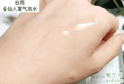 谷雨家仙人掌水乳好用嗎 谷雨家仙人掌水乳使用評(píng)測 5