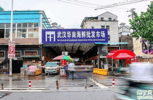 武漢肺炎是海鮮傳染嗎 武漢肺炎跟海鮮有關系嗎2