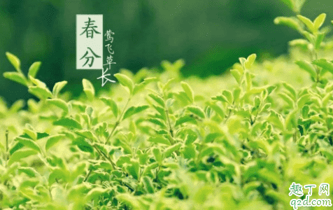 2021年春分時間幾點 2021年春分搬家好嗎4