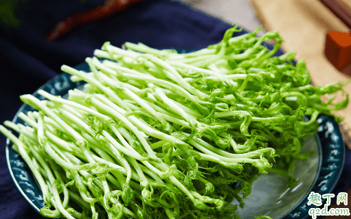 綠豆芽能給剛懷孕的人吃嗎 孕期吃綠豆芽有沒(méi)有營(yíng)養(yǎng)1