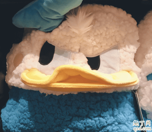 迪士尼生氣鴨毛毯在哪買 上海迪士尼生氣唐老鴨毛毯多少錢2