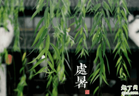 處暑十八盆白露勿露身有什么說法 處暑十八盆白露勿露身的原因4