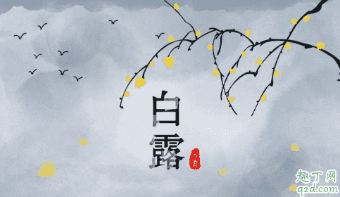 處暑十八盆白露勿露身有什么說法 處暑十八盆白露勿露身的原因5