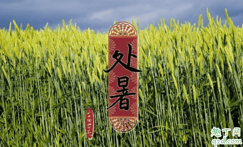 處暑下雨萬人愁有什么說法 處暑下雨萬人愁代表了什么1