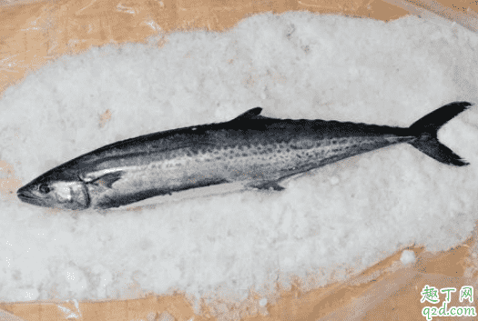 鲅魚(yú)去腥過(guò)油好還是焯水好 鲅魚(yú)去腥用什么方法好3