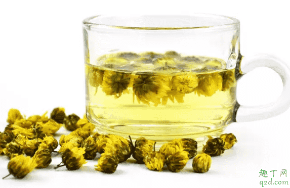 黃菊花茶和白菊花茶哪個護(hù)肝 黃菊花茶和白菊花茶有什么不同1