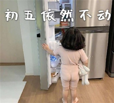朋友圈春節(jié)待在家表情包帶字2020 初一一動不動初二按兵不動6