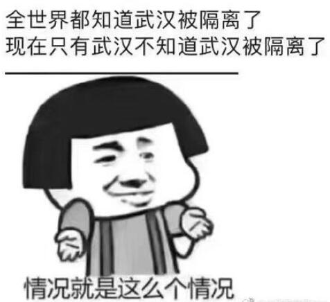 武漢肺炎朋友圈表情包 關(guān)于武漢新型病毒感染表情惡搞2