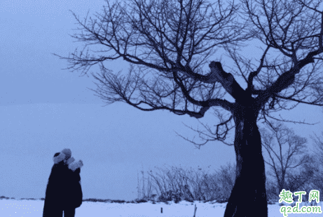 小紅書下雪濾鏡在哪 小紅書動態下雪濾鏡教程20201