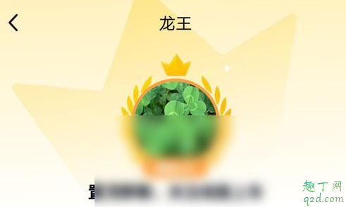 qq龍王標識怎么關閉 QQ匿名發言會有龍王標志嗎3