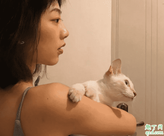 2019伊樂(lè)app二維碼下載 伊樂(lè)手機(jī)app官網(wǎng)版哪里有2