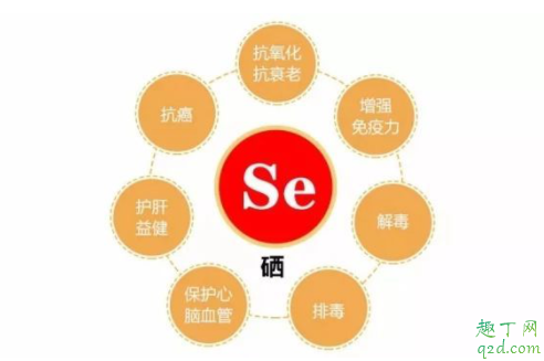 補(bǔ)硒可以增加免疫力嗎 怎么判斷需要補(bǔ)硒 1
