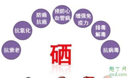 為什么預(yù)防病毒要提高免疫力 增強(qiáng)免疫力最好的方法是什么 2