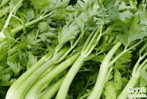 芹菜用焯水嗎 吃芹菜哪些事項是要注意的4