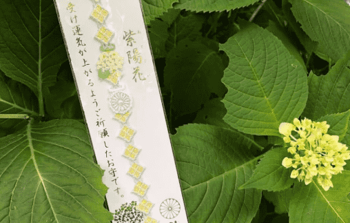 阿佐谷神明宮手鏈御守怎么戴 阿佐谷神明宮在哪里5