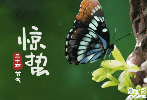 2020驚蟄后天氣會(huì)冷嗎 2020驚蟄領(lǐng)證好嗎2