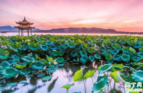 外地人回杭州需要隔離嗎 現(xiàn)在可以回杭州了嗎3