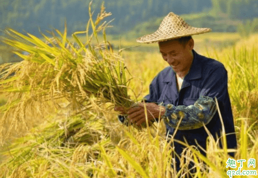 農資增長糧食不漲怎么辦 糧食不漲農民收入低如何處理 1