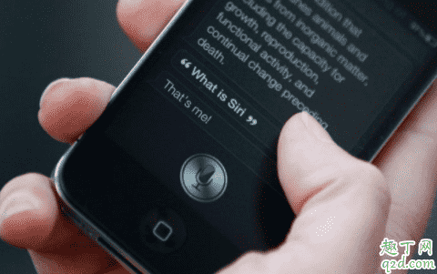 siri量體溫可信嗎 iPhone用siri量體溫怎么設(shè)置1