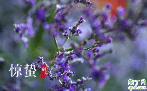 為什么老人說驚蟄要吃梨 驚蟄吃梨有什么好處 4