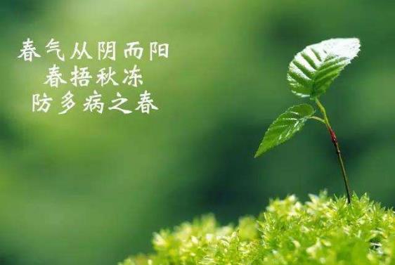 春天怎么捂最健康養生？愛美女人別過早換裝，春捂最佳穿衣原則