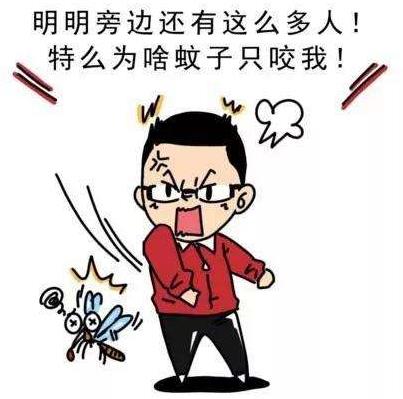 什么血型最招蚊子？蚊子喜歡叮咬什么樣的人