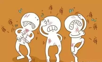 夏季皮炎的原因及癥狀 夏季皮炎怎么辦