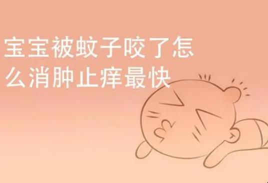 嬰兒蚊子咬了怎么消腫？蚊子對寶寶的危害