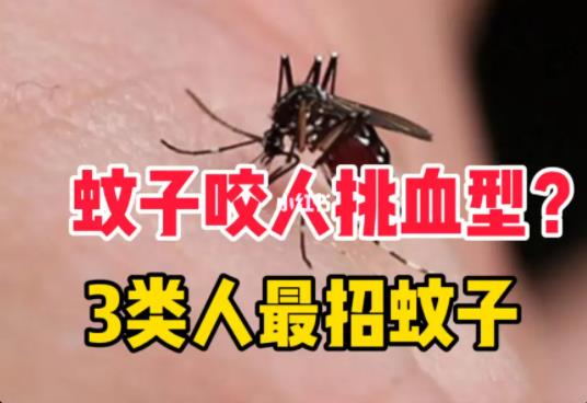 蚊子能聰明到識別人的血型嗎？蚊子的危害有哪些