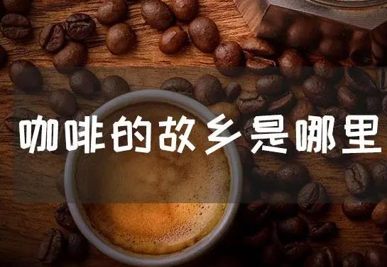 咖啡的故鄉(xiāng)是哪里？喝咖啡會上癮嗎