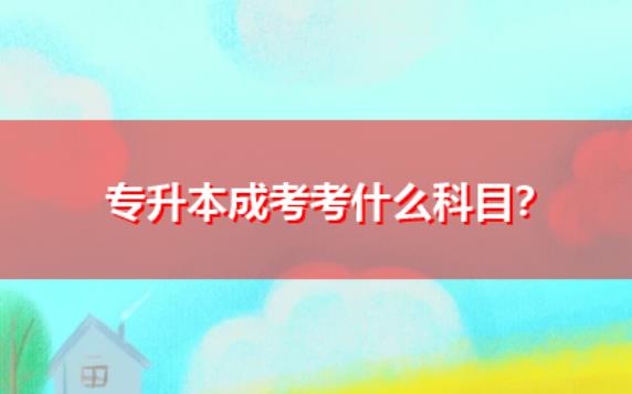 專升本成人自考考什么？專升本國家承認嗎