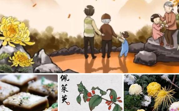 重陽節的民俗活動有哪些？重陽節吃什么傳統食物
