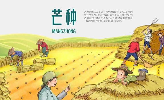 芒種節氣的特點是什么？芒種時有哪些傳統習俗