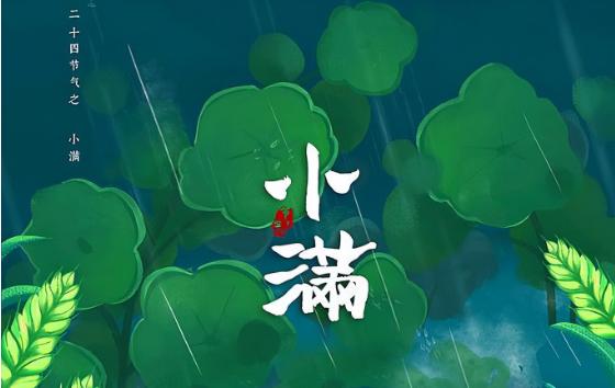 小滿節氣不同地區天氣是什么？小滿前后天氣特征