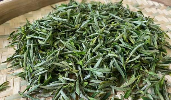 黃山毛峰是綠茶嗎(綠茶，品質優良黃山毛峰采摘自清明前后)