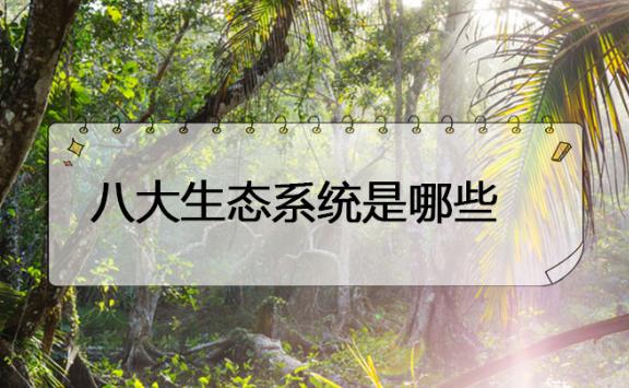 八大生態(tài)系統(tǒng)分別是什么？地球之腎的生態(tài)系統(tǒng)是指