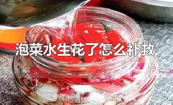 泡菜水生花了怎么補(bǔ)救？泡菜太酸了怎么解決