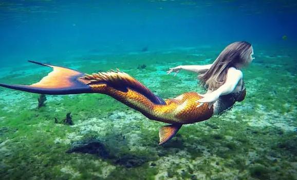 世界上有美人魚嗎？美人魚是什么動物