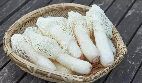 孕婦吃竹蓀有哪些好處(可幫助孕婦調理身體促進胎兒發育)