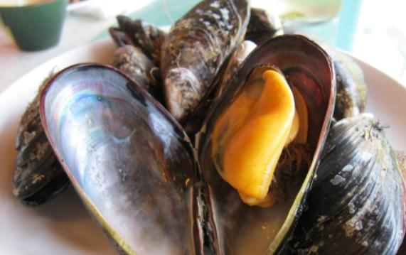 新鮮的淡菜是什么樣子的？淡菜怎么泡發清洗