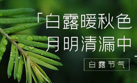 白露節氣特點是什么？白露的習俗都有什么
