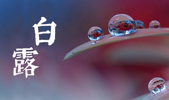白露是什么季節？白露三候是什么