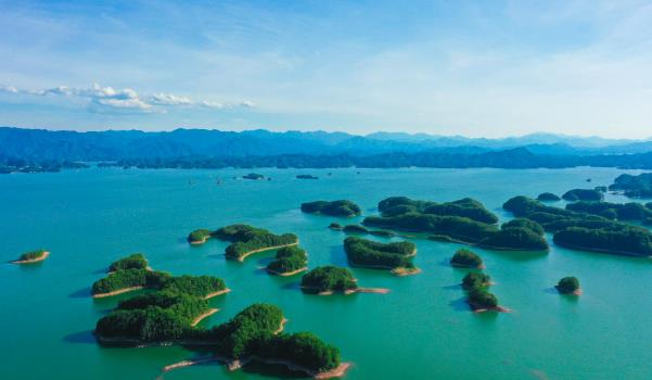 千島湖有哪些必吃的美食(千島湖魚頭、千島玉鱉、土雞煲等)