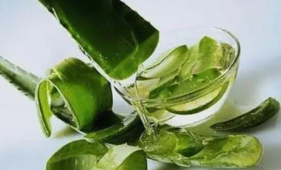 橄欖油和蘆薈膠哪個好？橄欖油護膚怎么用