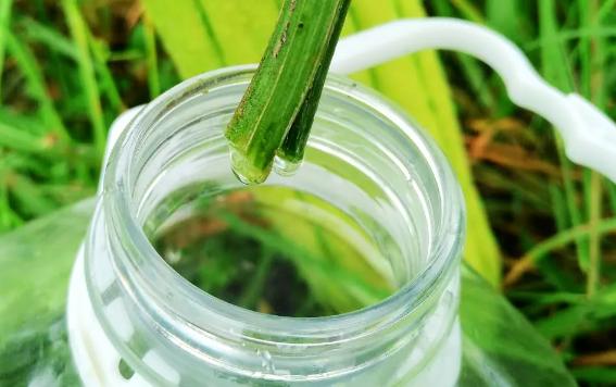 絲瓜水適合什么膚質？絲瓜水做噴霧怎么用
