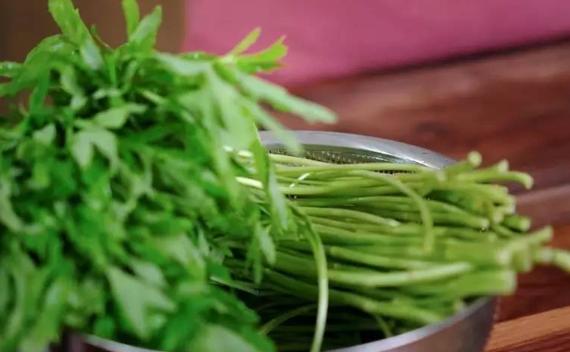 茼蒿和藜蒿是一樣的嗎？茼蒿是酸性還是堿性