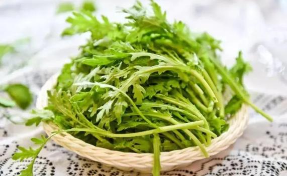 茼蒿的主要品種都有什么？茼蒿的熱量是多少