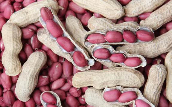 生花生米冷藏還是冷凍？南瓜花生米可以同食嗎