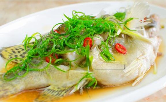 石斑魚鱸魚和桂花魚哪個有營養？桂花魚要蒸多久才熟